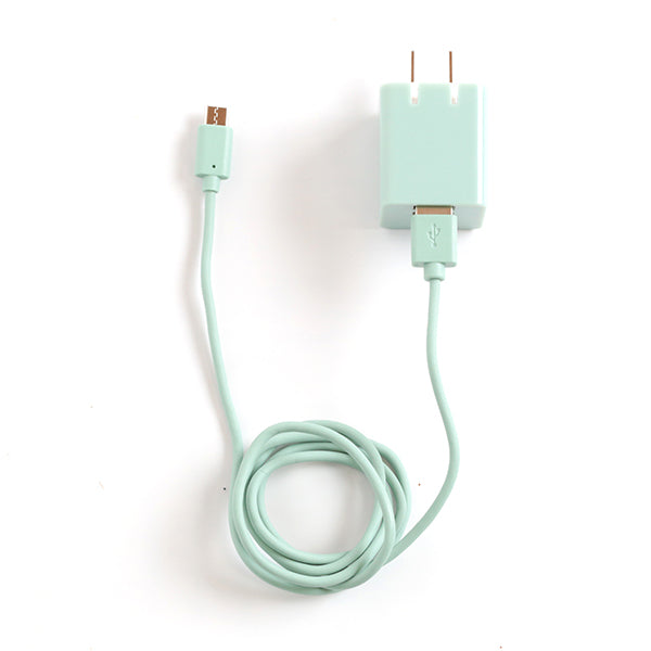 OUTLET★ USB2ポートAC充電器 Type-Cケーブル付 (QTC-023/PK/GN)