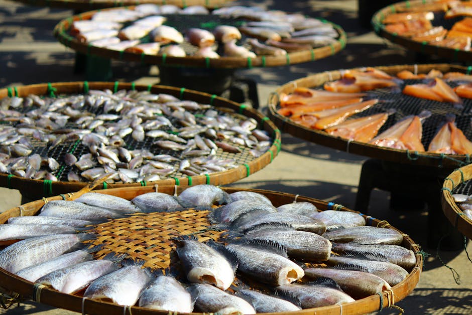 さまざまな種類の魚が竹のトレーの上で太陽の下で屋外に干されています。