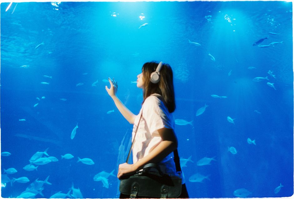 ヘッドフォンを着けて大きな水槽の中の魚を見つめる若い女性。
