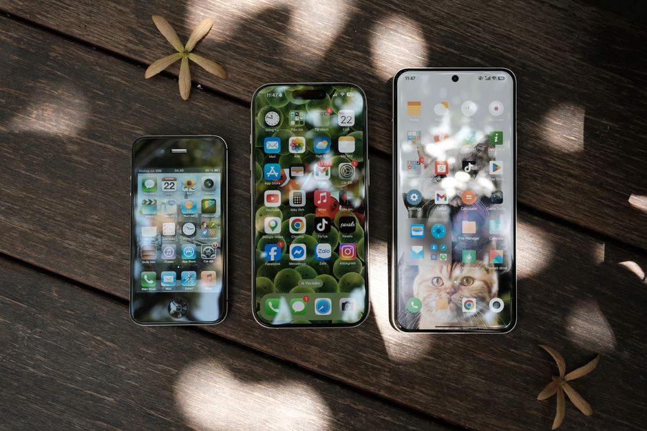 木製の背景にドライフラワーが散りばめられた状態で、ホーム画面が異なる3台のスマートフォンを上空から撮影した写真。