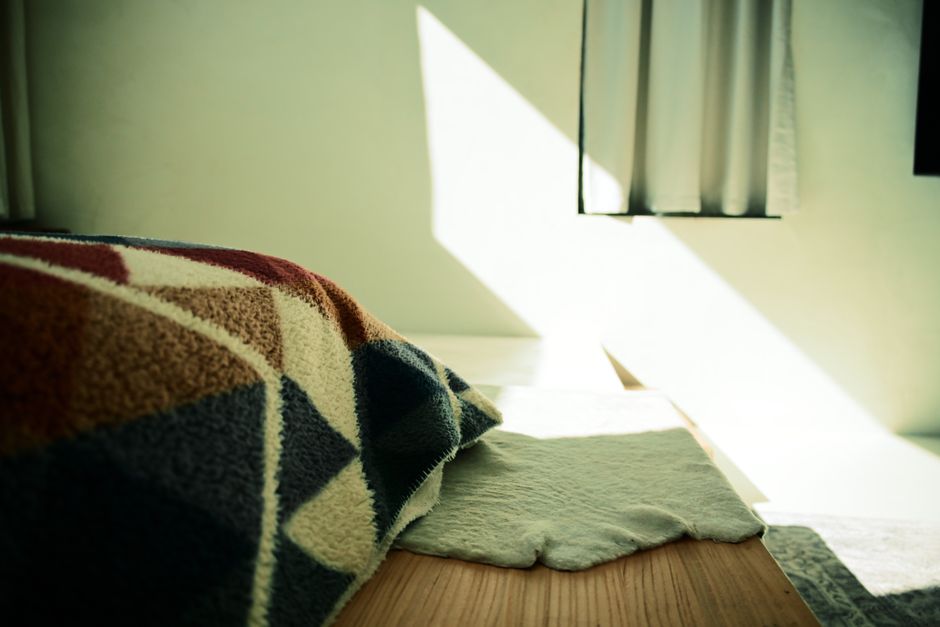 電気毛布のダニ対策が効くと言われる理由のイメージ